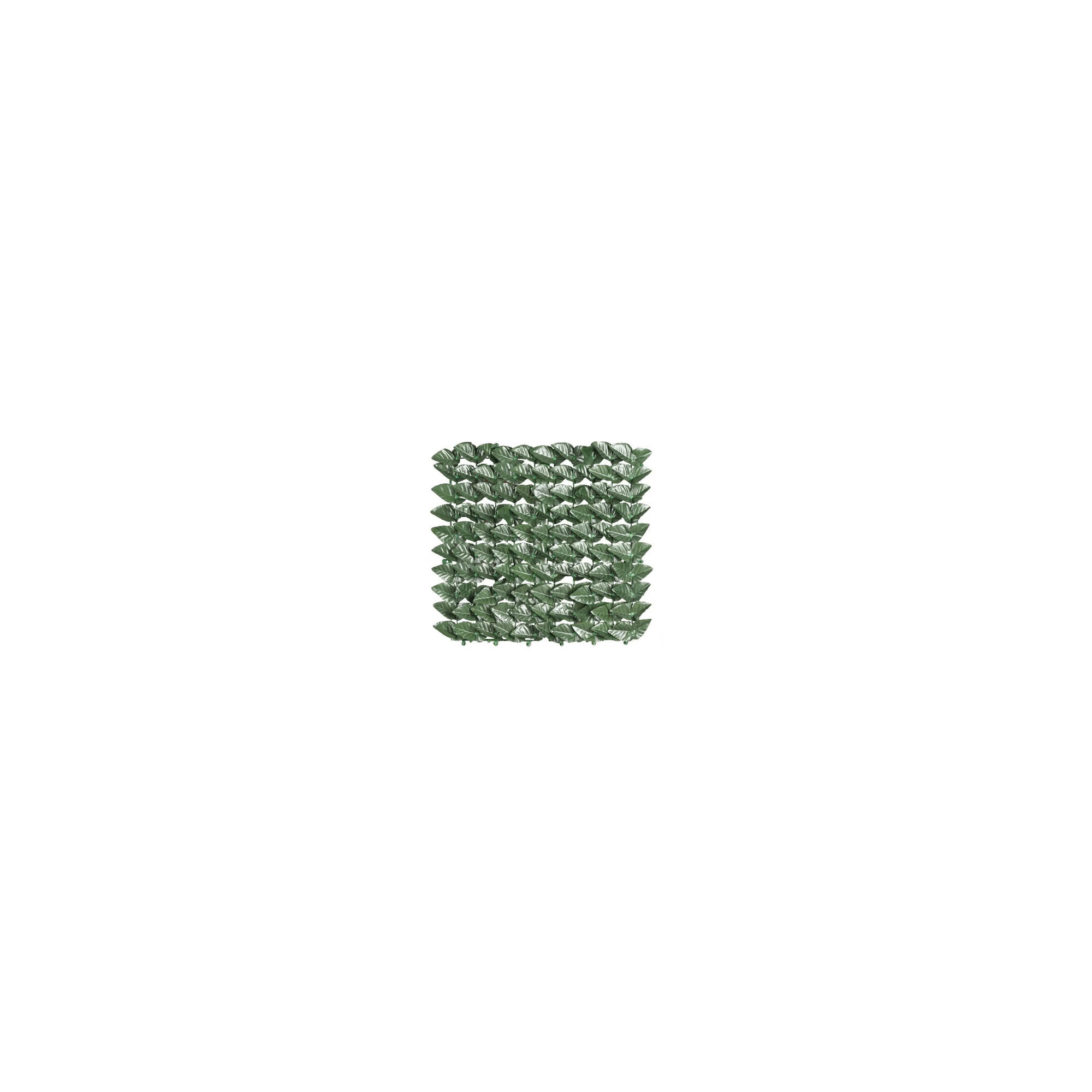 Arelle Sempreverde 1 5x3mt arelle-sempreverde-1-5x3mt
