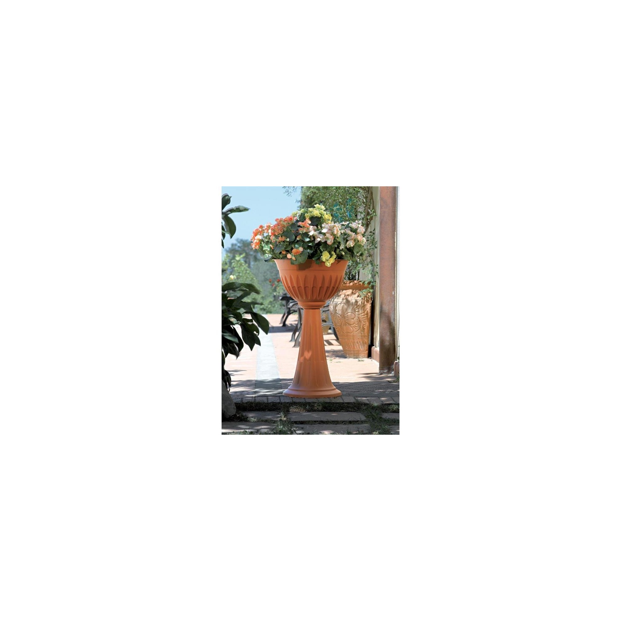 BAMA BAMA VASO A CALICE ALBA ROTONDO D.33 X 35H CM COLORE TERRACOTTA 