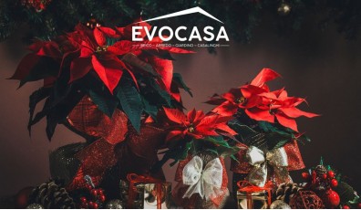 Come curare la stella di Natale: guida completa