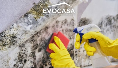 Come eliminare la muffa dai muri