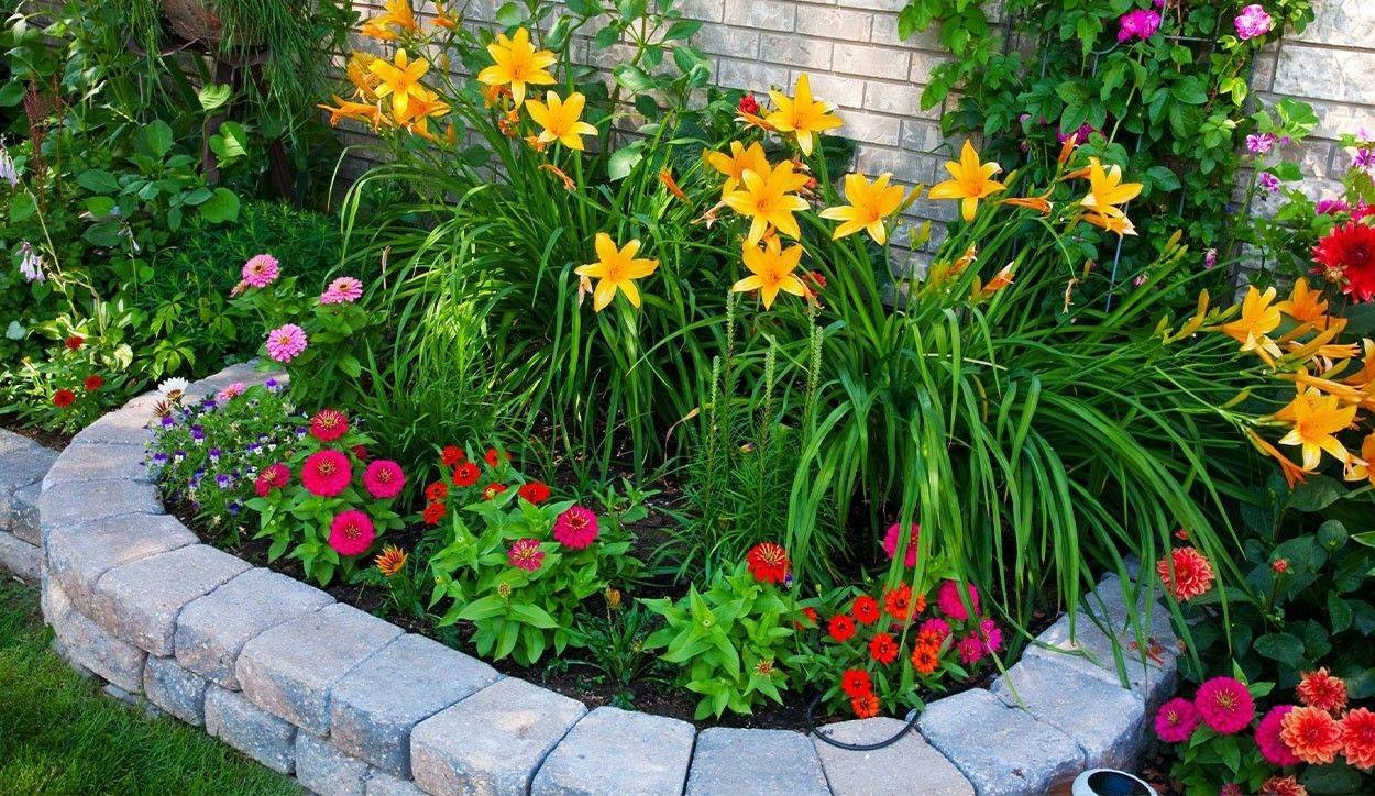  																			Bordure fai da te per il tuo giardino 									