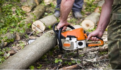 Migliore motosega: come trovare quella perfetta per te