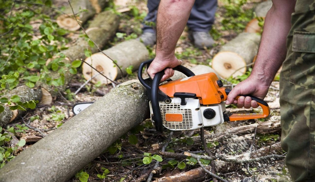  																			Migliore motosega: come trovare quella perfetta per te 									