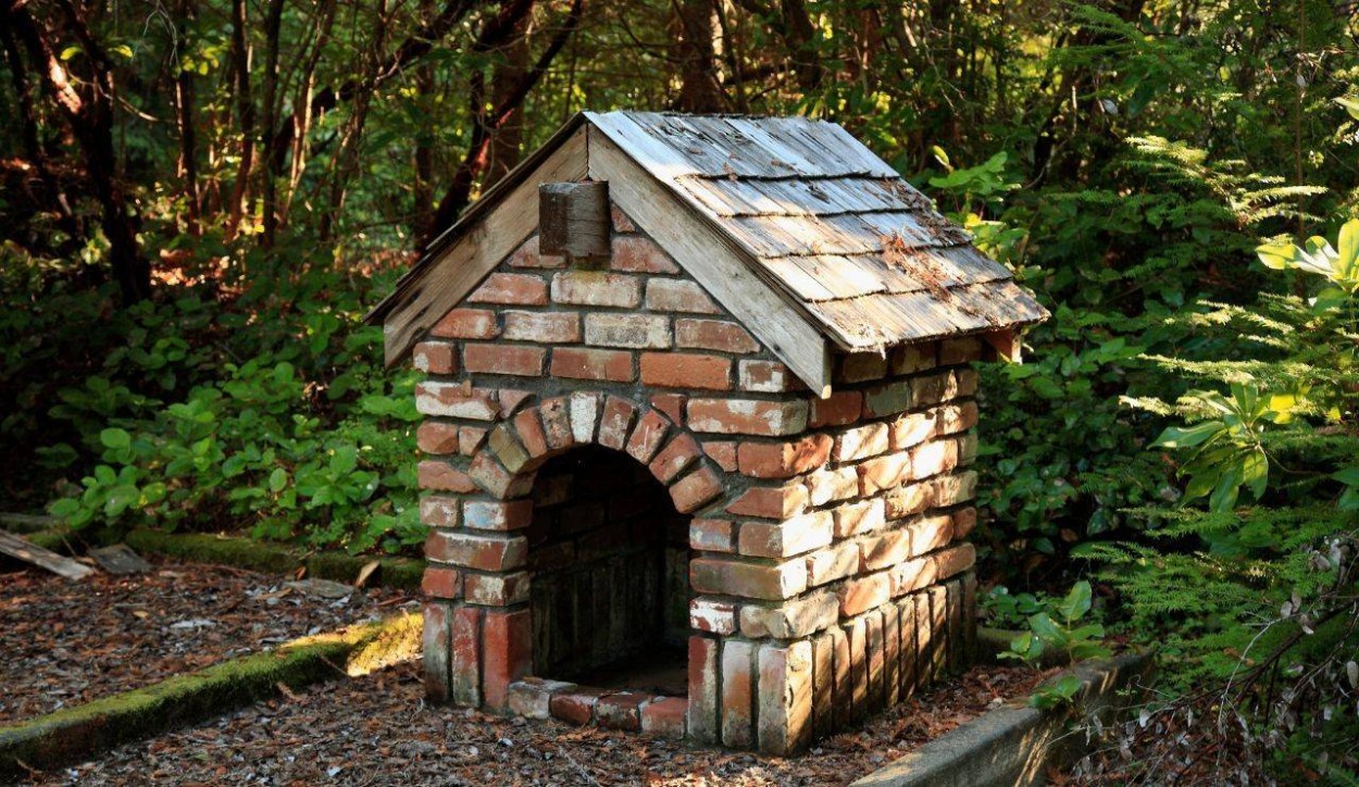  																			Cuccia per cani fai da te: guida con consigli e suggerimenti 									