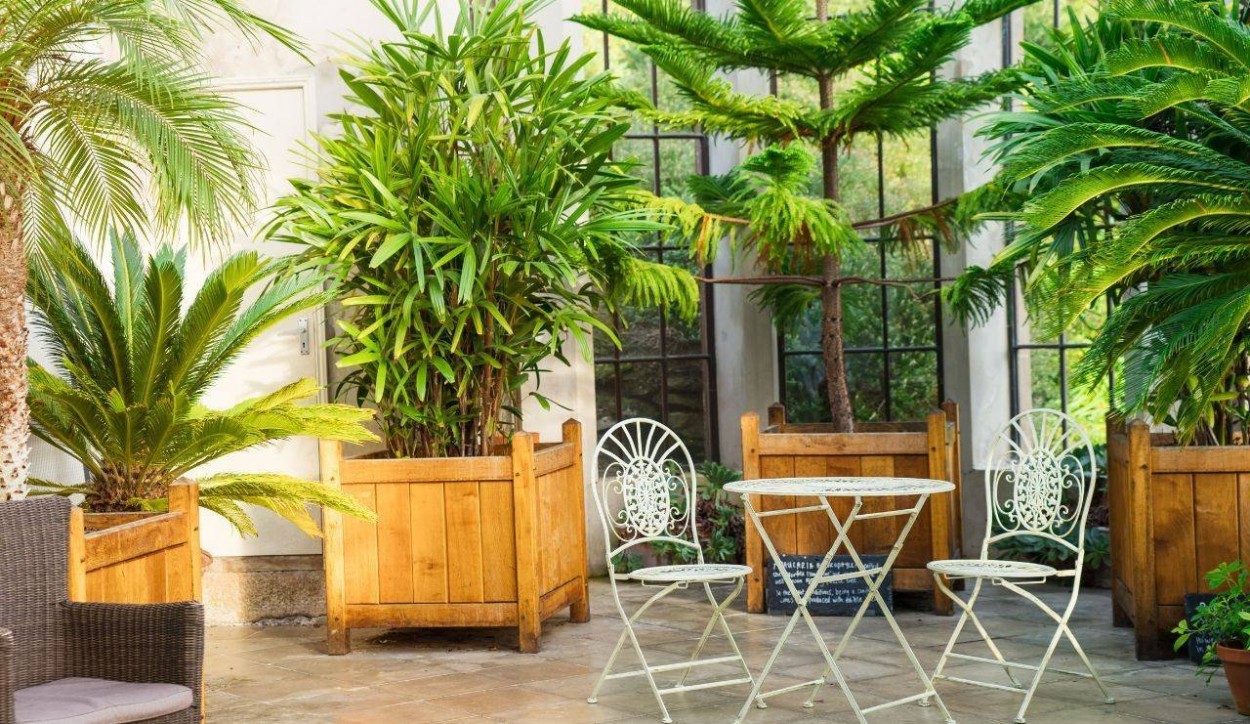  																			Come arredare un giardino con gusto e senza errori 									