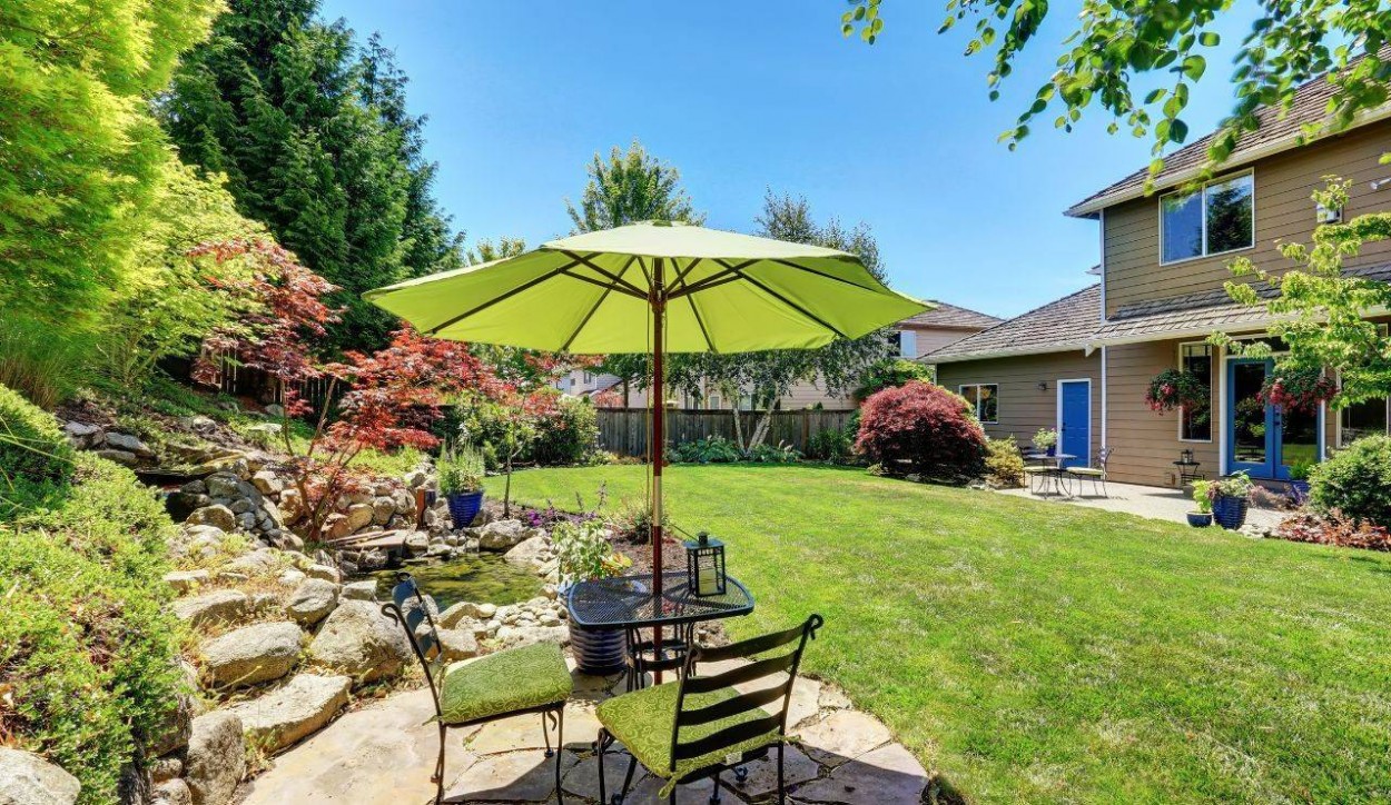  																			Come abbellire un giardino a partire dalle piante 									