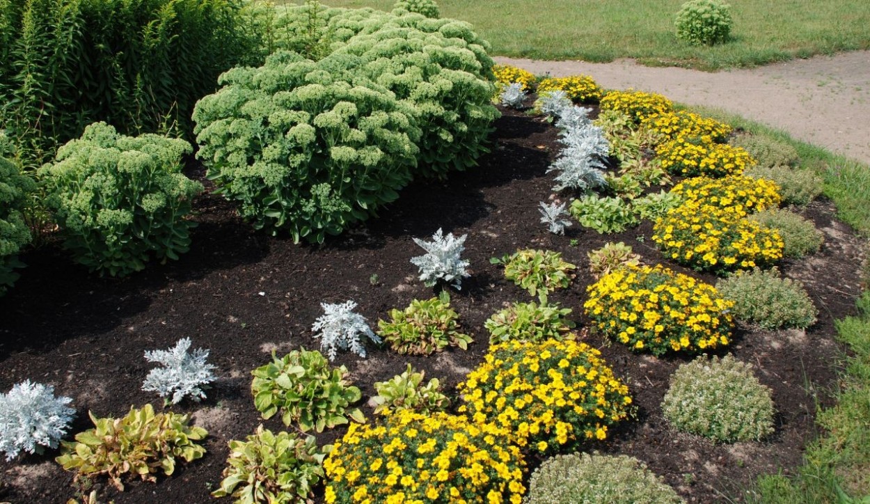 Aiuole fai da te come realizzarle nel proprio giardino Aiuole fai da te come realizzarle nel proprio giardino