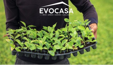 Semenzaio fai da te: la guida completa