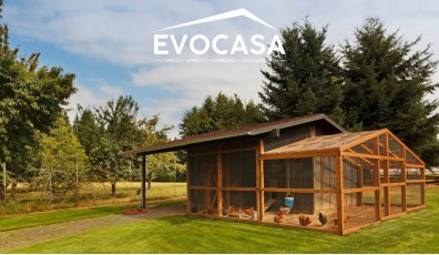 Come costruire un pollaio: la guida al fai da te