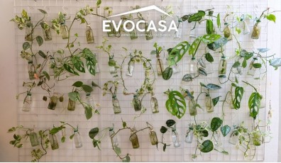 Come costruire un orto verticale fai da te: idee e tutorial