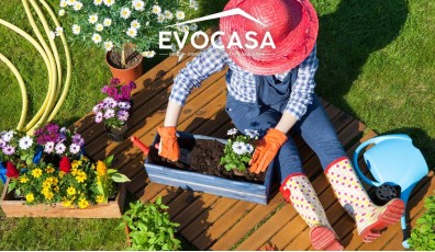 Come curare le piante: guida completa