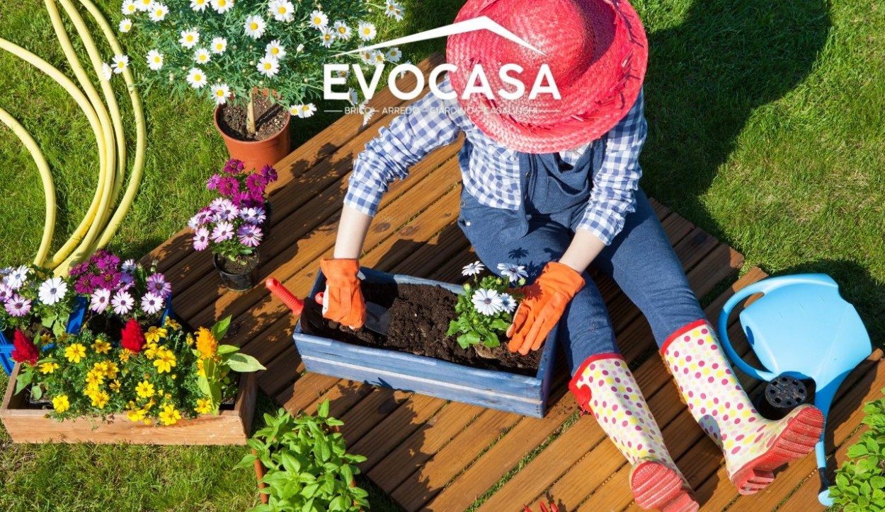  																			Come curare le piante: guida completa 									